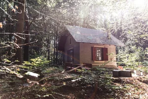 Häuschen mit Ziegeldach und rotbraunen Fensterläden im Laubwald in Maiernigg am Wörthersee, davor eine Holzbank.