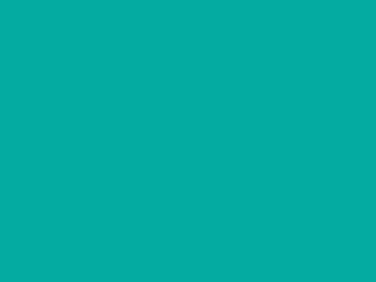 Single-colour area in turquoise.